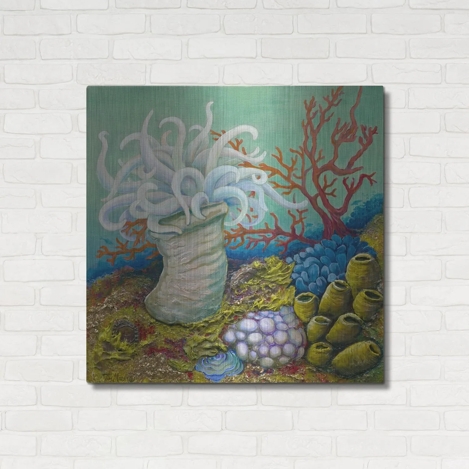 'Anemone Ballet' by Tim Marsh, Metal Wall Art, 36"x36"
