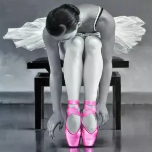 Ballerina Shoes