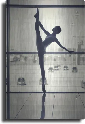 'Ballet Dancer Silhouette' by Design Fabrikken Metal Wall Art, 24" x 36"