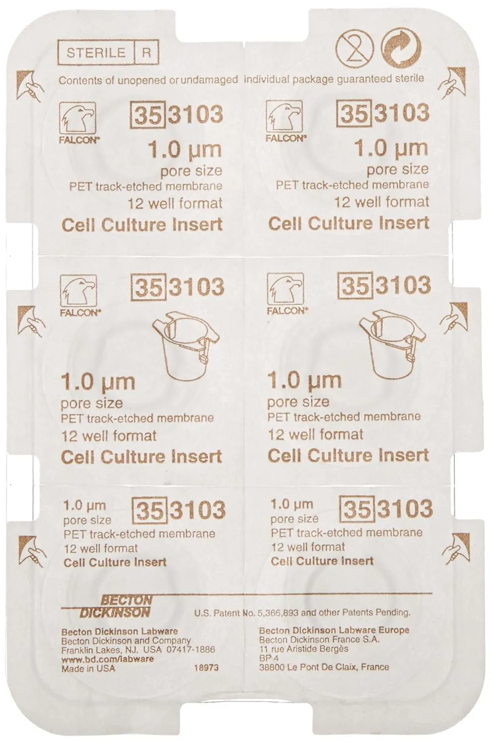 BD Medical 353104 Falcon Translucent Polyethylene Terephthalate Cell Culture Insert, 0.2 - 0.35mL Volume, 1.0 Micron Pore, Pack of 48