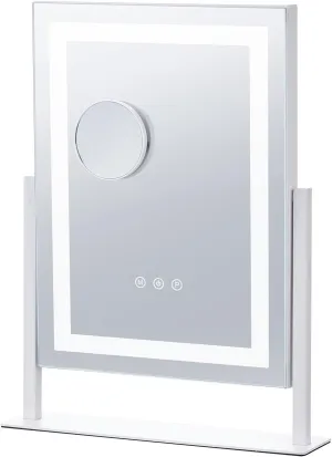 Lighted Makeup Mirror 3 Color Vanity with 5X Magnification 16.1x11.8 in