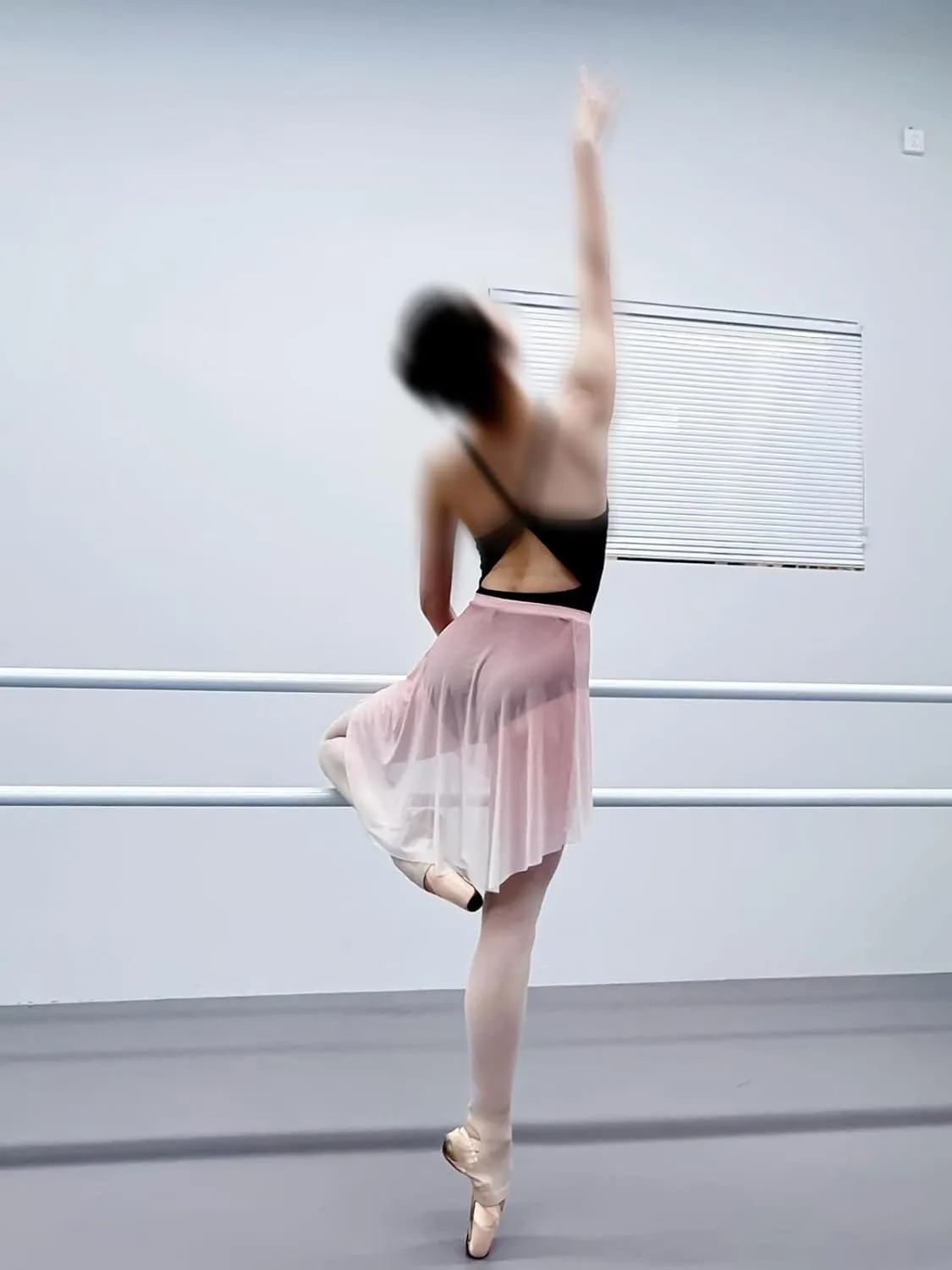 Mesh Ballet Skirt Gradient Color Pull-On Elastic Waistband
