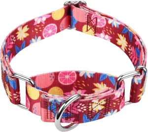 Mikivery Martingale Collar 1 inch Slip On and Off,NO Buckle Gently Tightens Medium and Large Collars