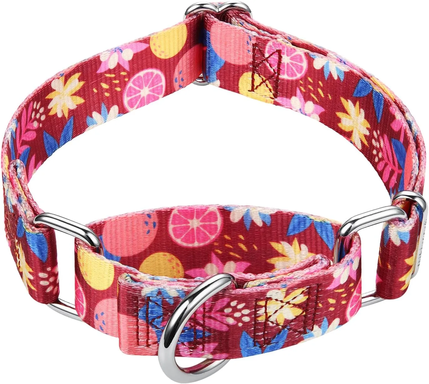 Mikivery Martingale Collar 1 inch Slip On and Off,NO Buckle Gently Tightens Medium and Large Collars