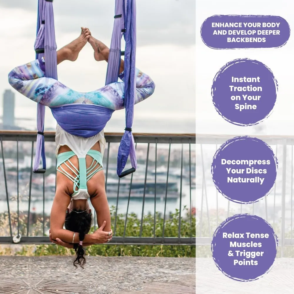 Swing Set for Home & Outdoor | Easy Setup for Strength, Balance & Back Pain Relief | Adjustable Straps & 600lb Capacity, Includes Carrying Bag & Online Tutorials
